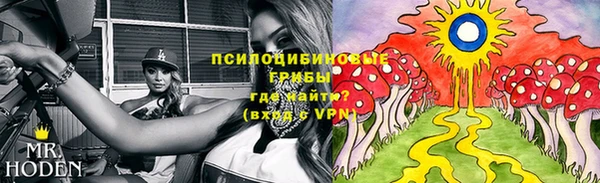 дурь Аркадак