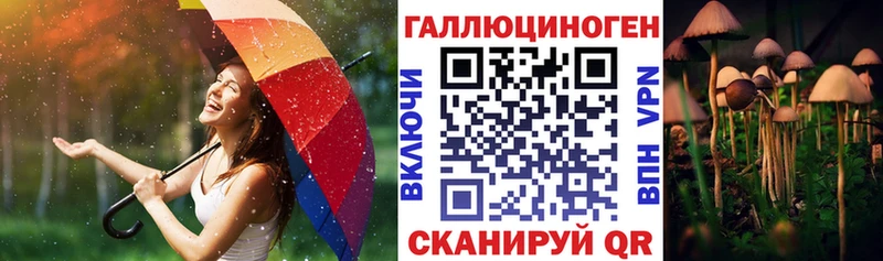 ОМГ ОМГ сайт  наркота  Феодосия  Псилоцибиновые грибы Magic Shrooms 